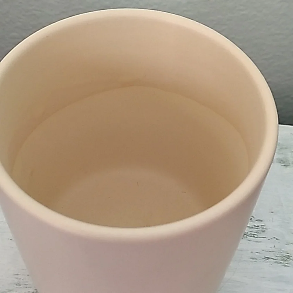 Succulent in a ceramic pot